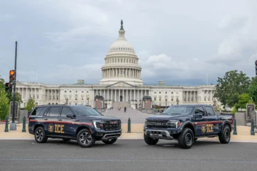 Co oznacza „immigration enforcement” w j. angielskim?