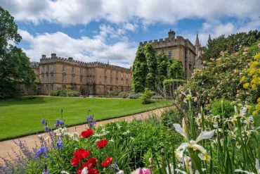 C1 Advanced Essay Writing: New Subjects at School