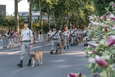 Co oznacza francuskie wyrażenie „régiment d’infanterie cynotechnique”?