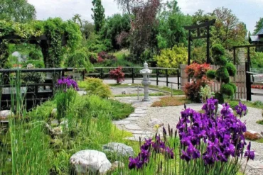 DSD I PRO – Schreiben: Gartenarbeit in der Schule?
