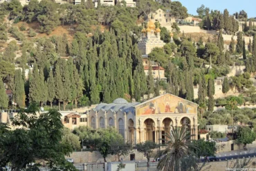 Fokus Jerusalem – Das TV-Magazin aus Israel